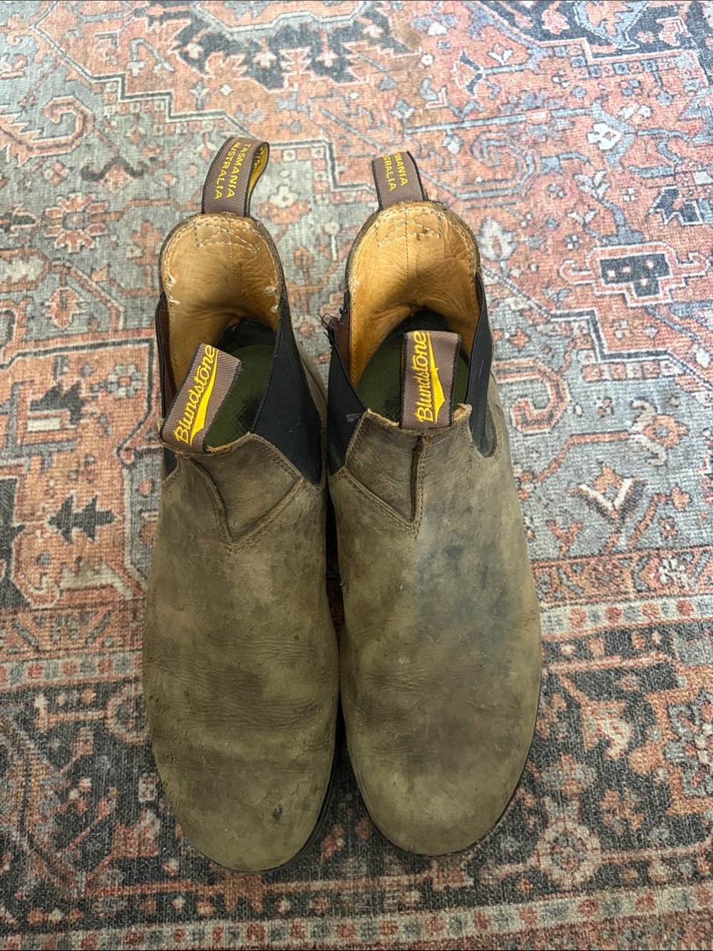 Blundstone Men's Chukka Boots in Olive Brown